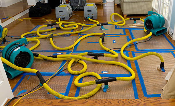 Professional Burst Pipe Water Damage technician working in Dayton, TX